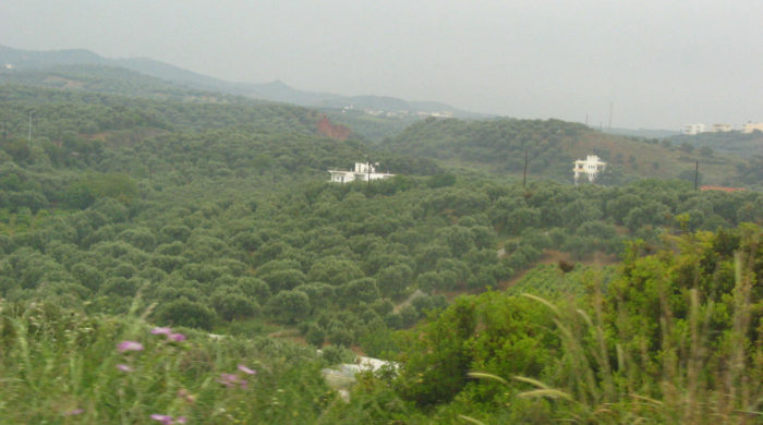 Plaine cultivée