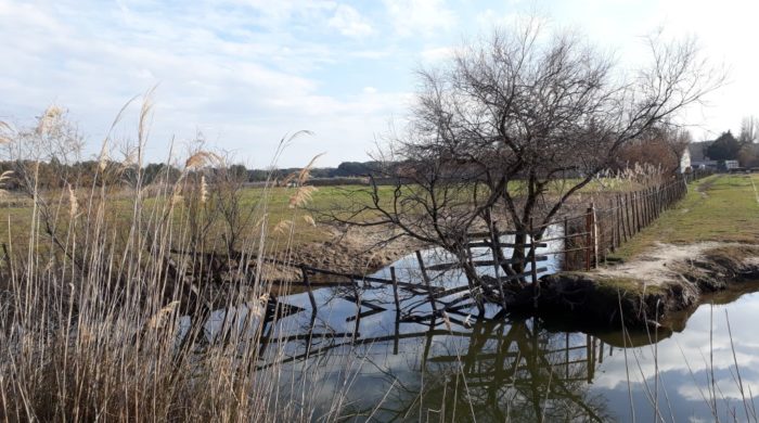 Petite Camargue 2