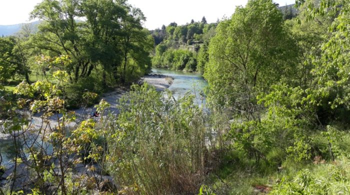 Gardon du Mialet 1
