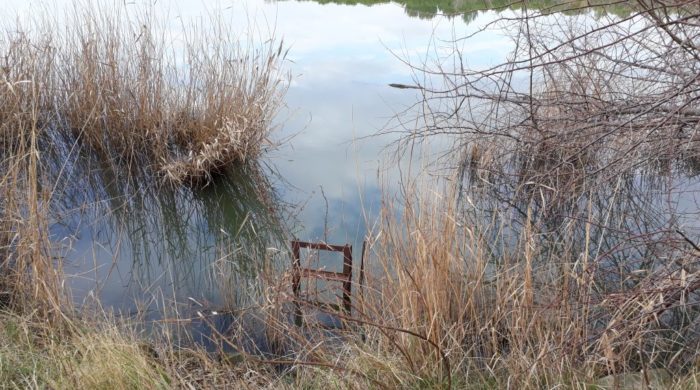 Petite Camargue 3